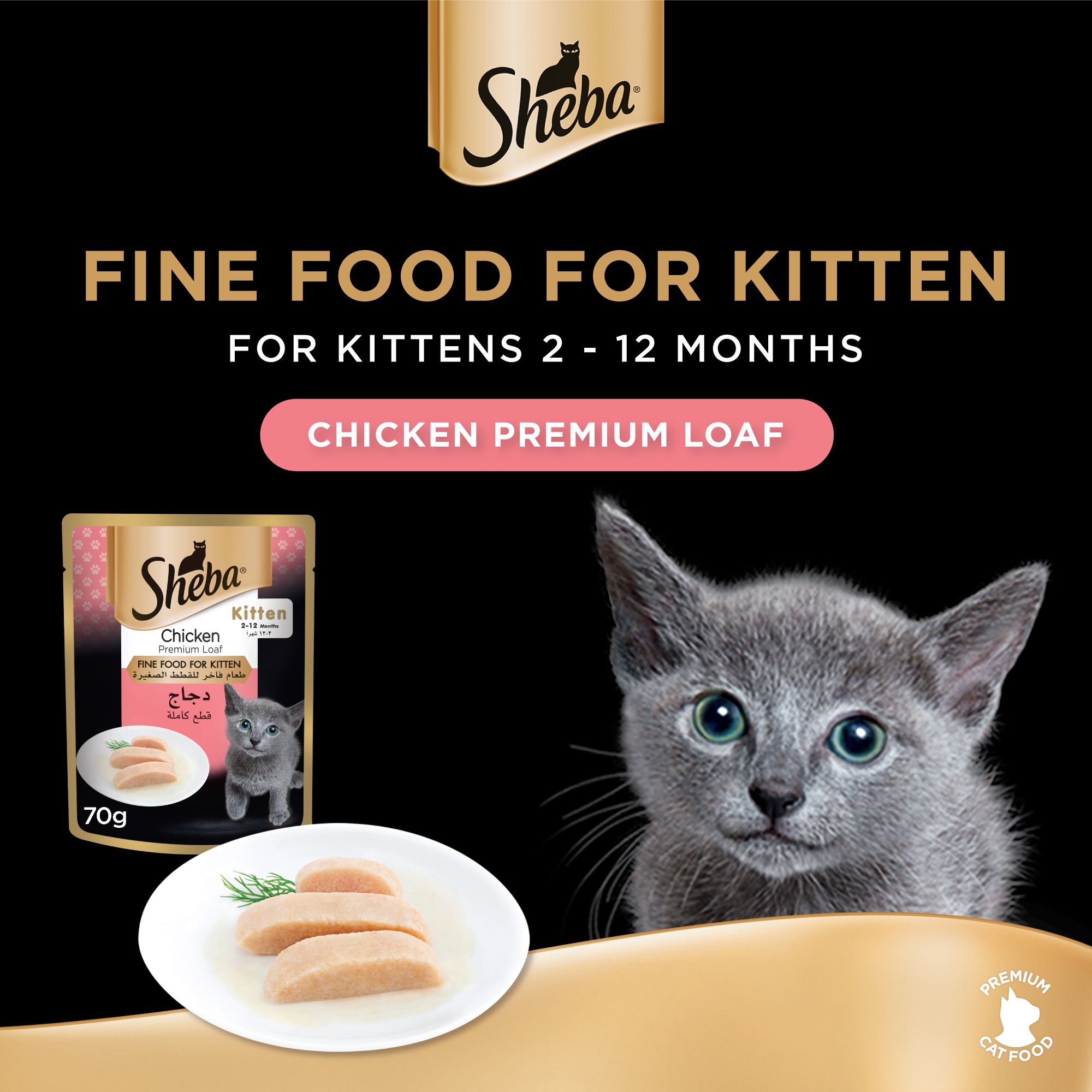 automatic cat litter box as seen on tv homerunPET
