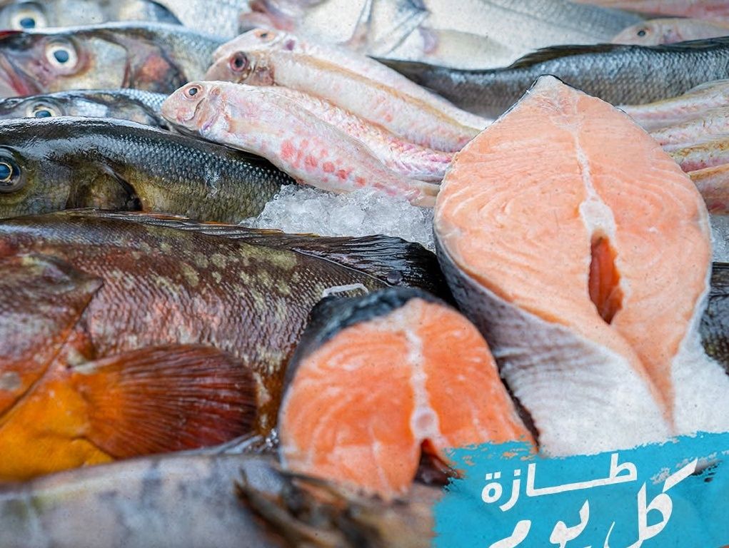 سمك السالمون الطازج