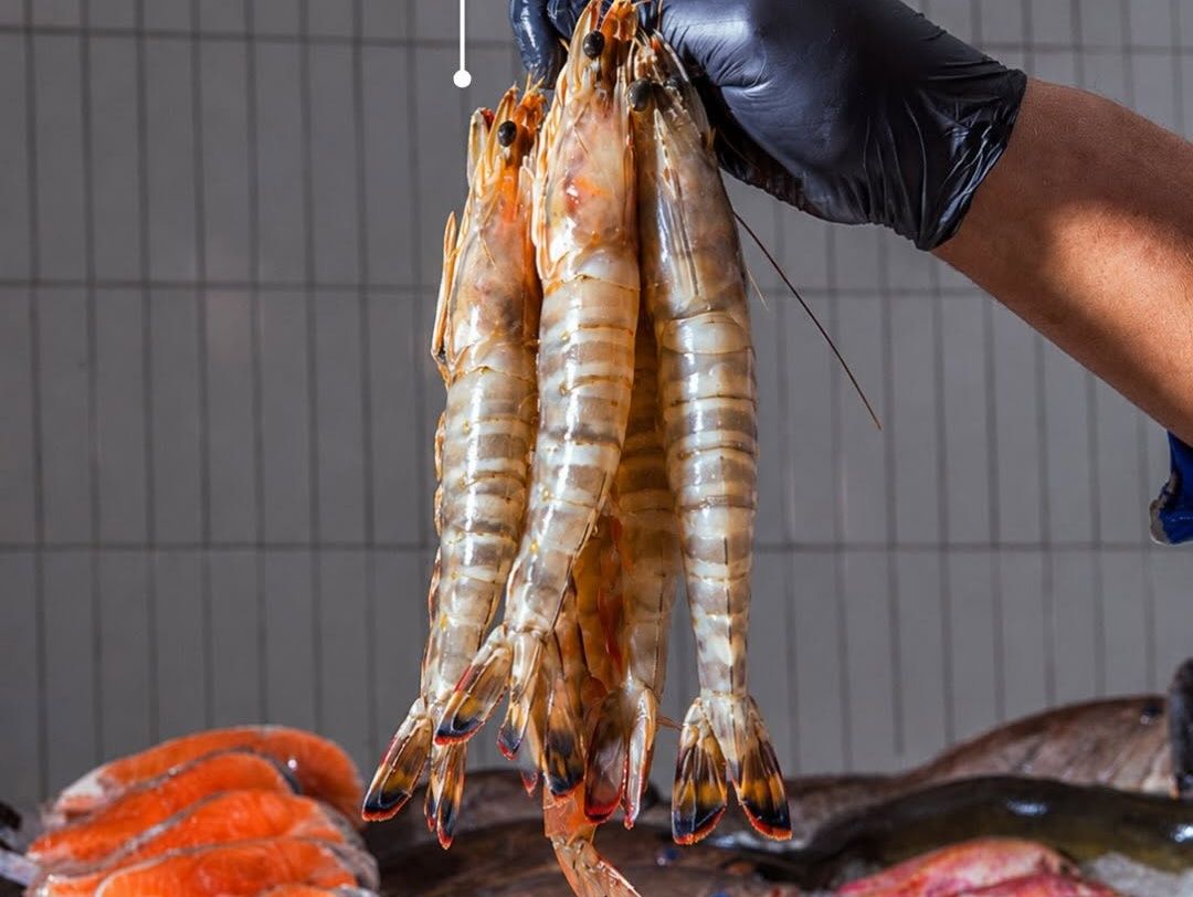 Jumbo Shrimp