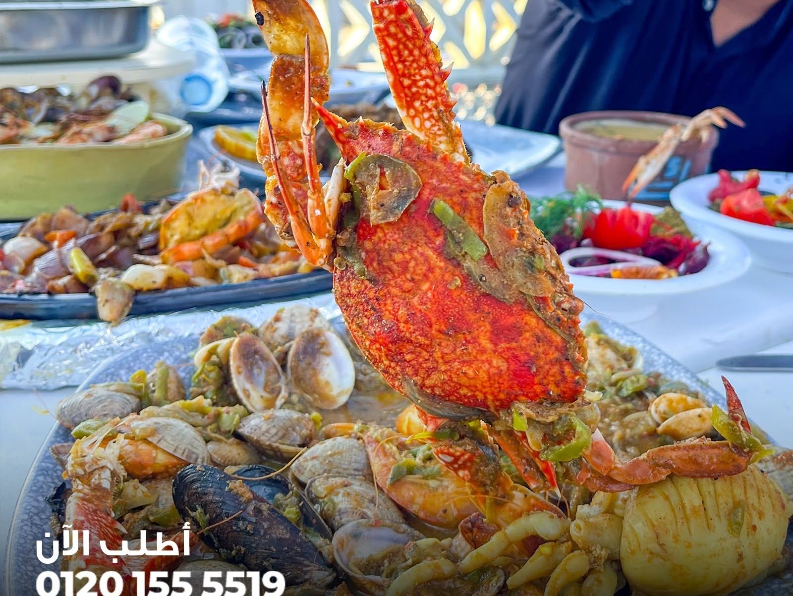 Fresh Crab