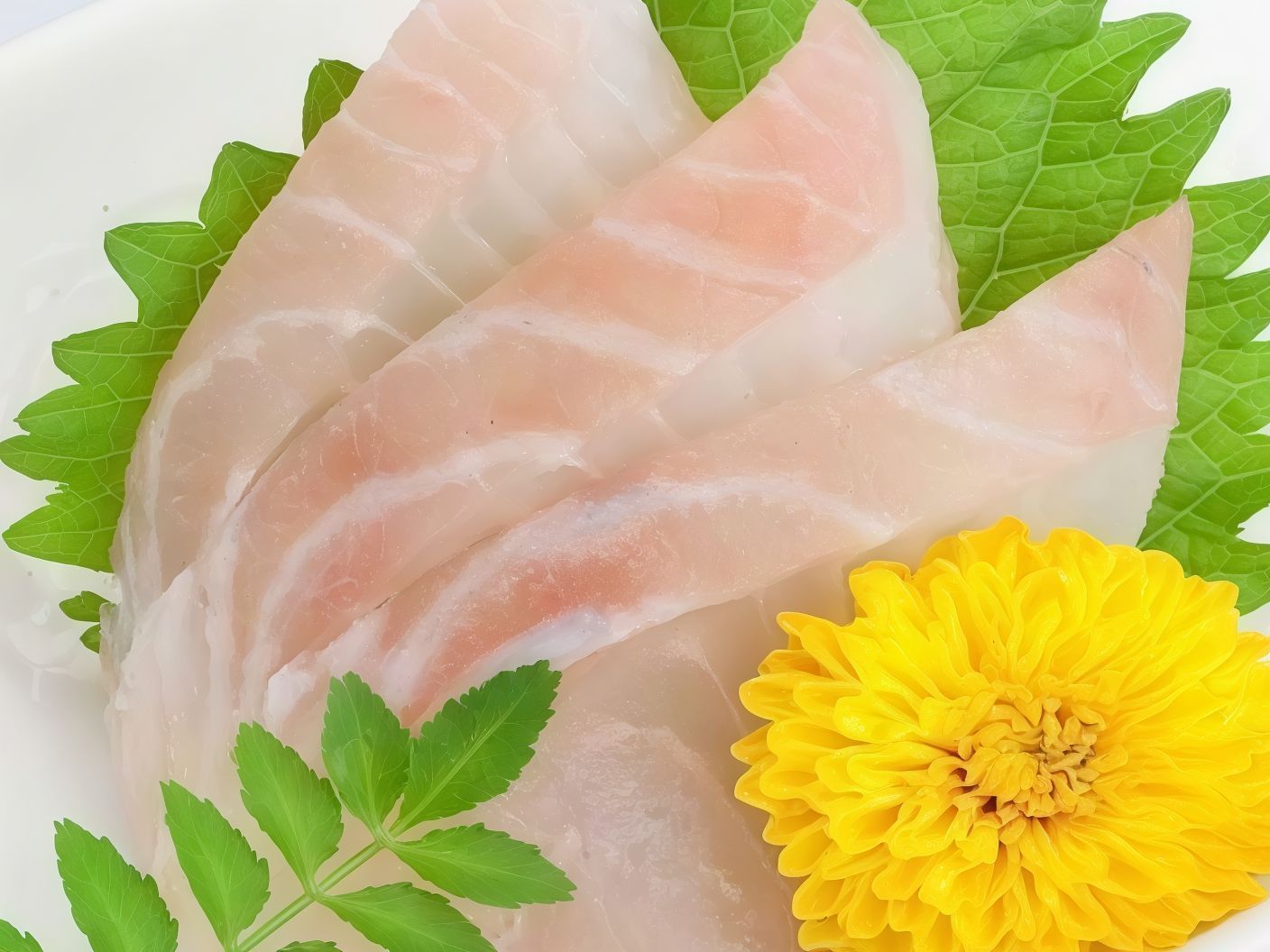 Shiromi Sea Bass