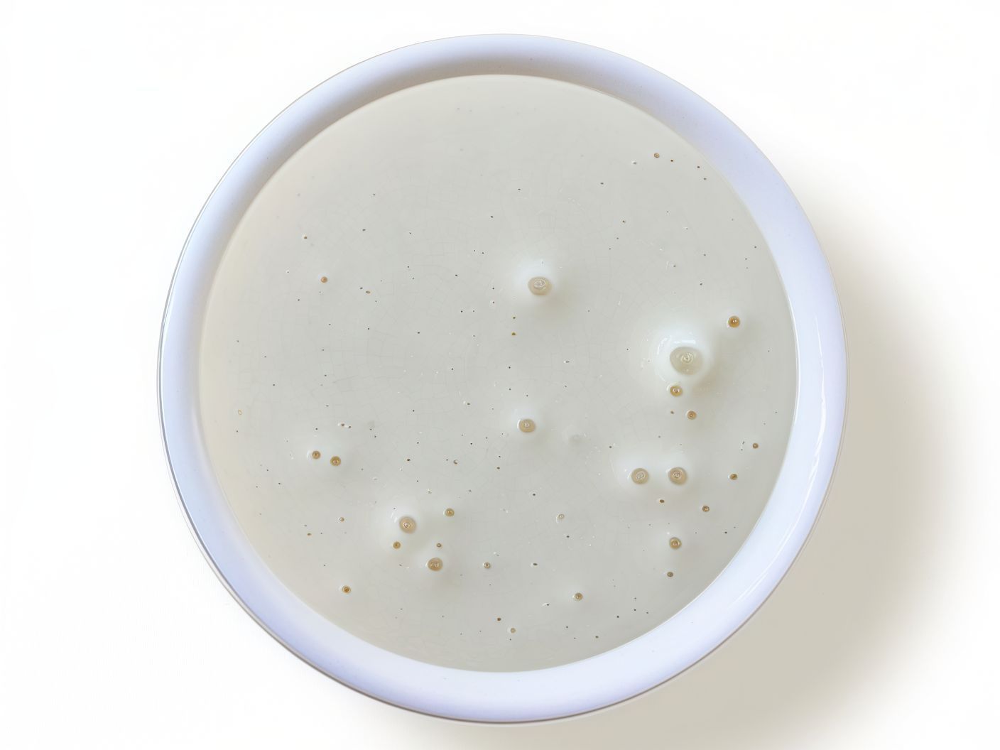 Garlic Sauce