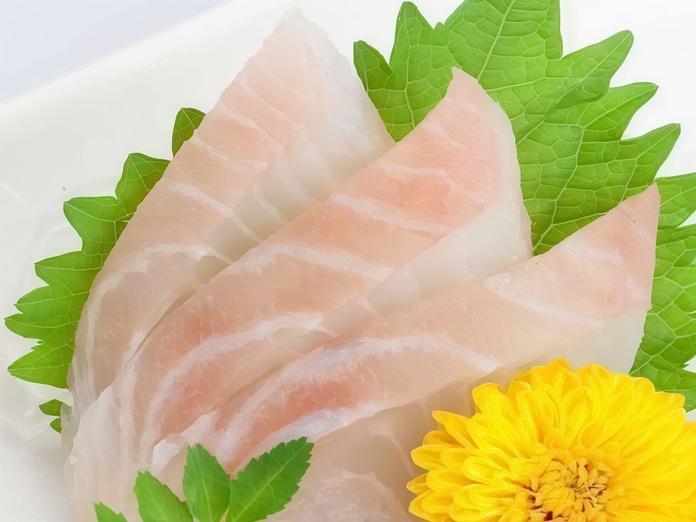 Sashimi Shiromi