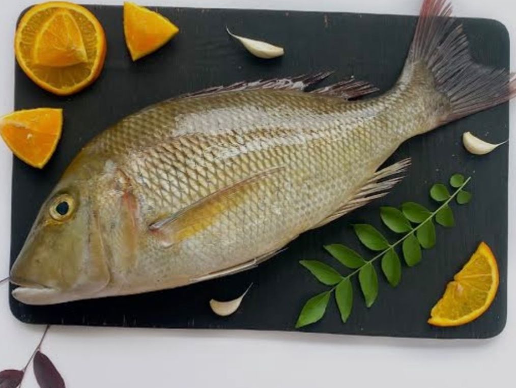 Fresh Emperor Fish