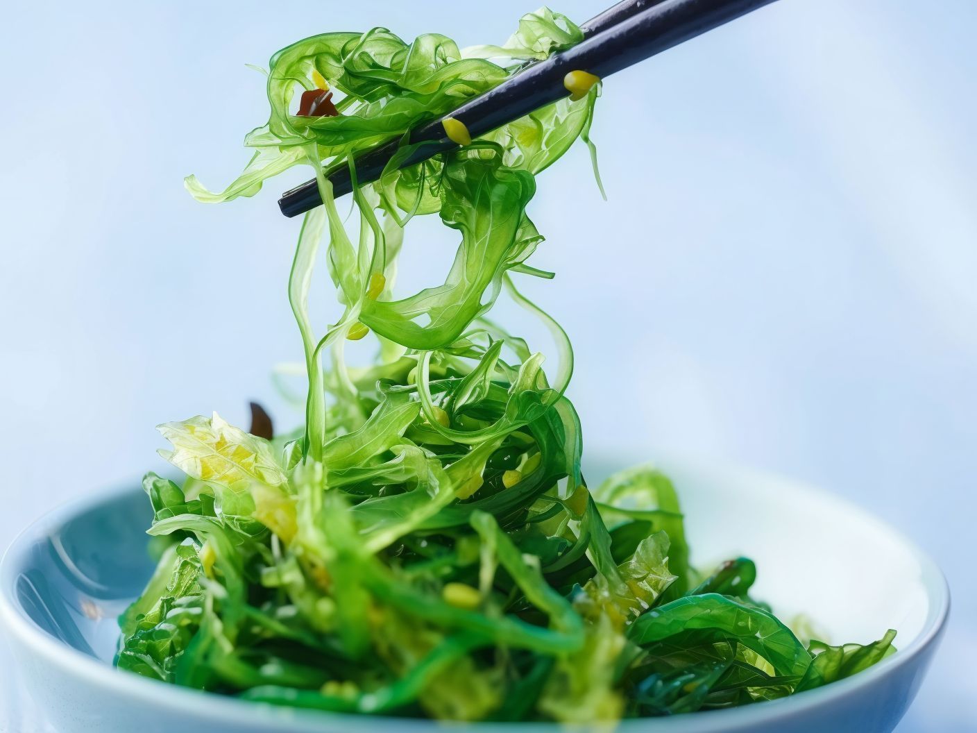 Wakame Chuka Salad