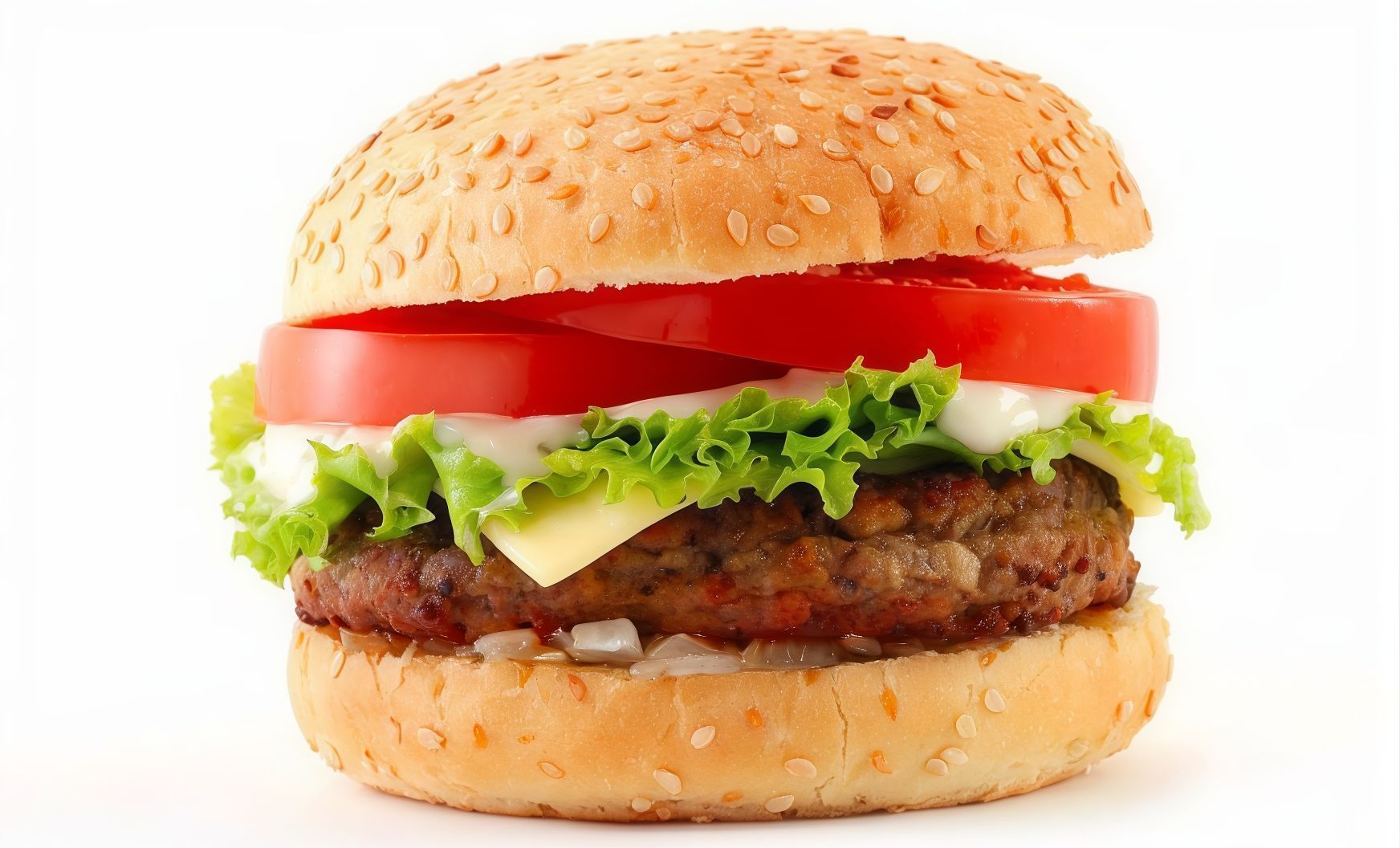 Beef Burger Sandwich with Cheese