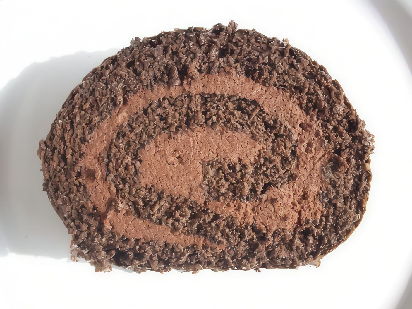 Chocolate Swiss Roll