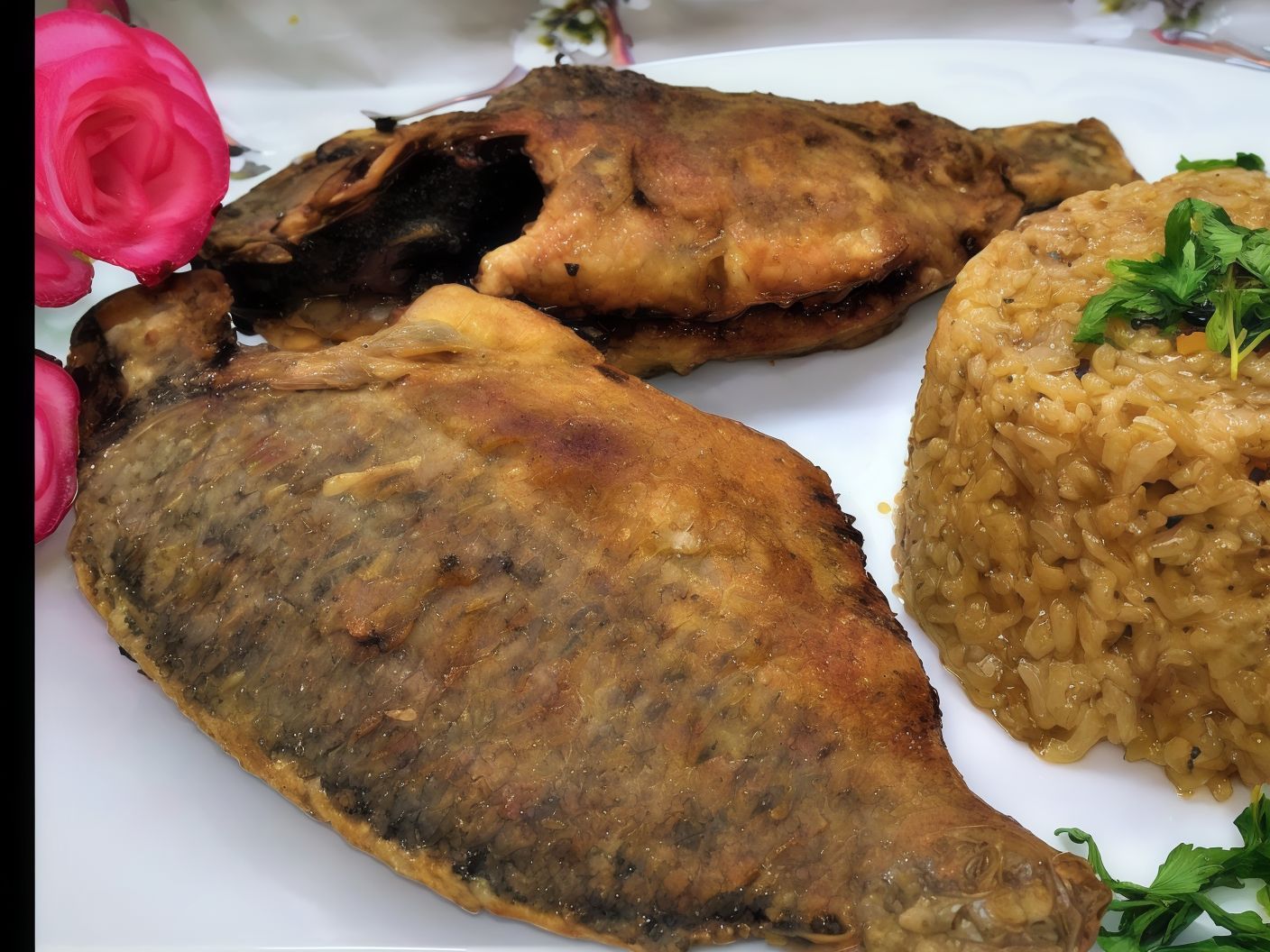 Tilapia Fish