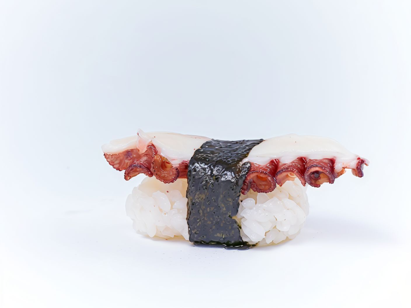 Octopus Nigiri