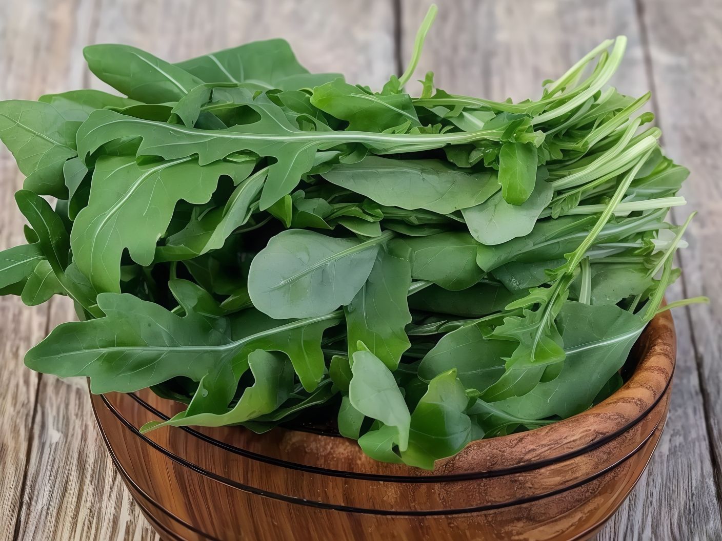 Arugula Plate