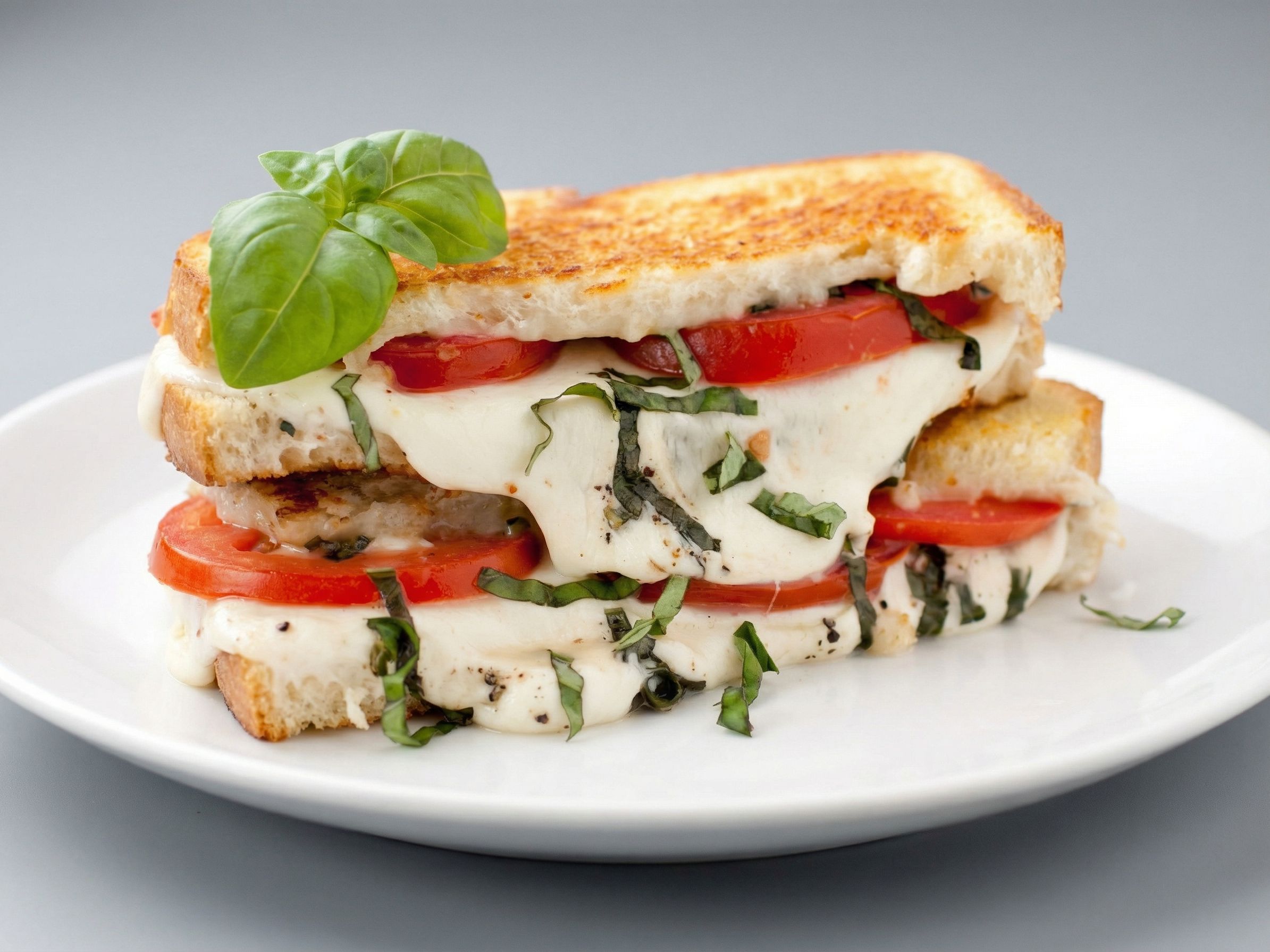 Melted Mozzarella Cheese Caprese Club