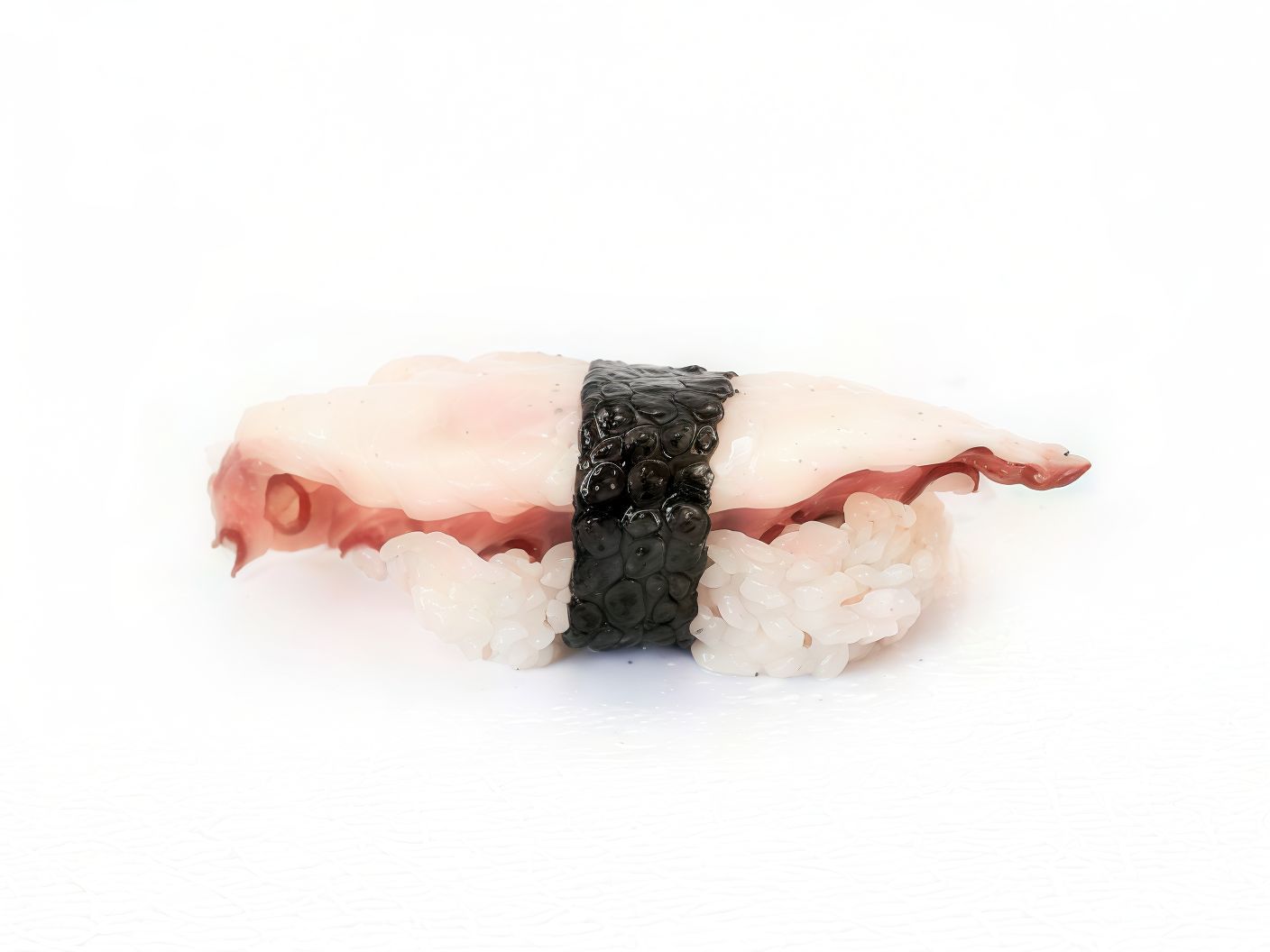 Octopus Nigiri Sushi