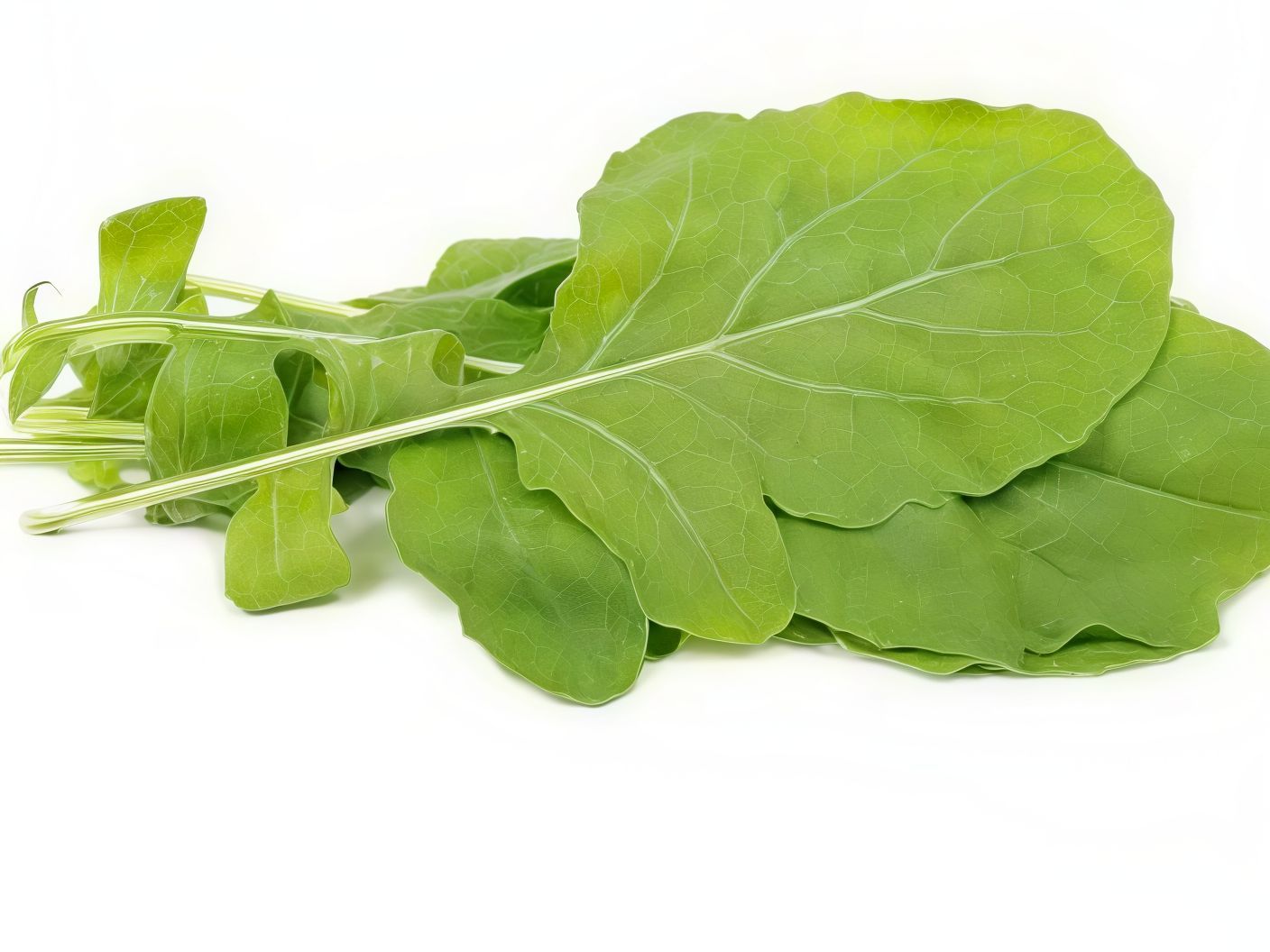 Arugula Plate