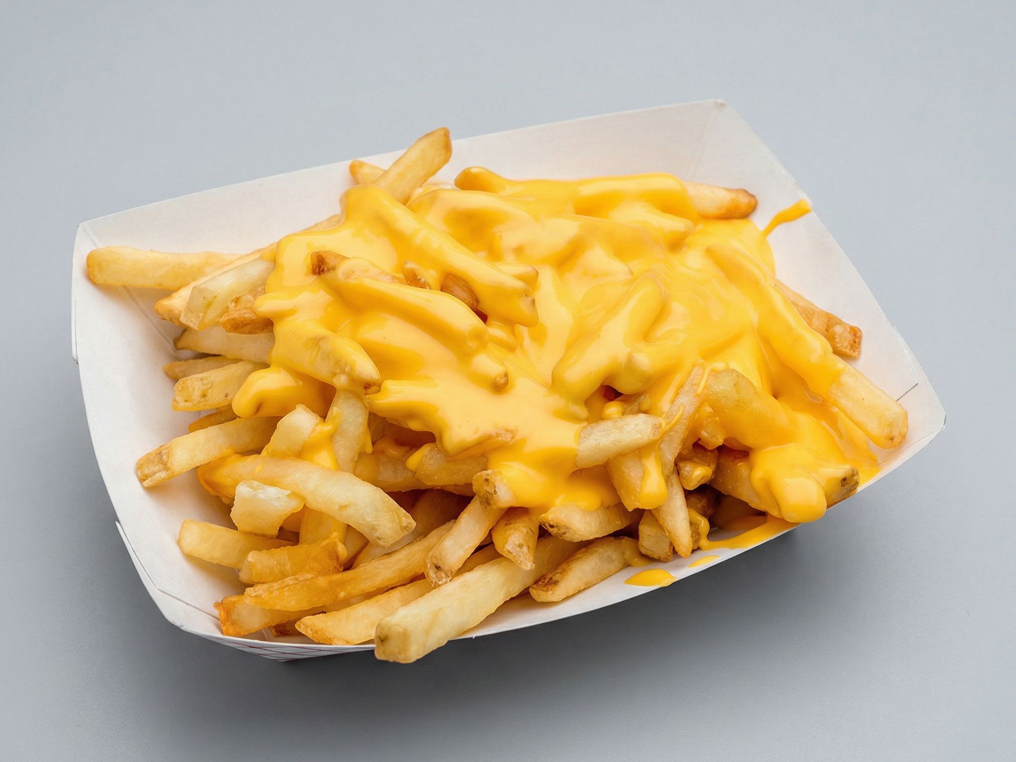 Cheesy Fries