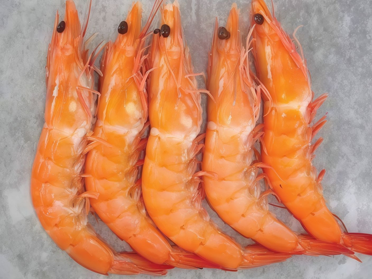 Medium shrimp
