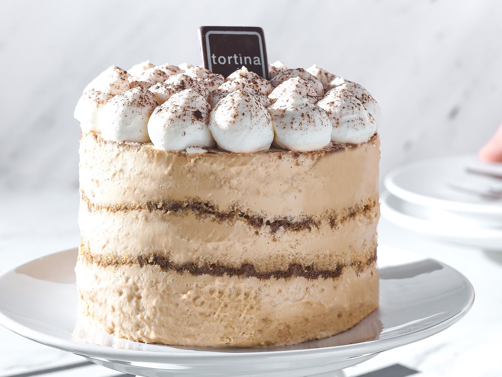Tiramisu Cake