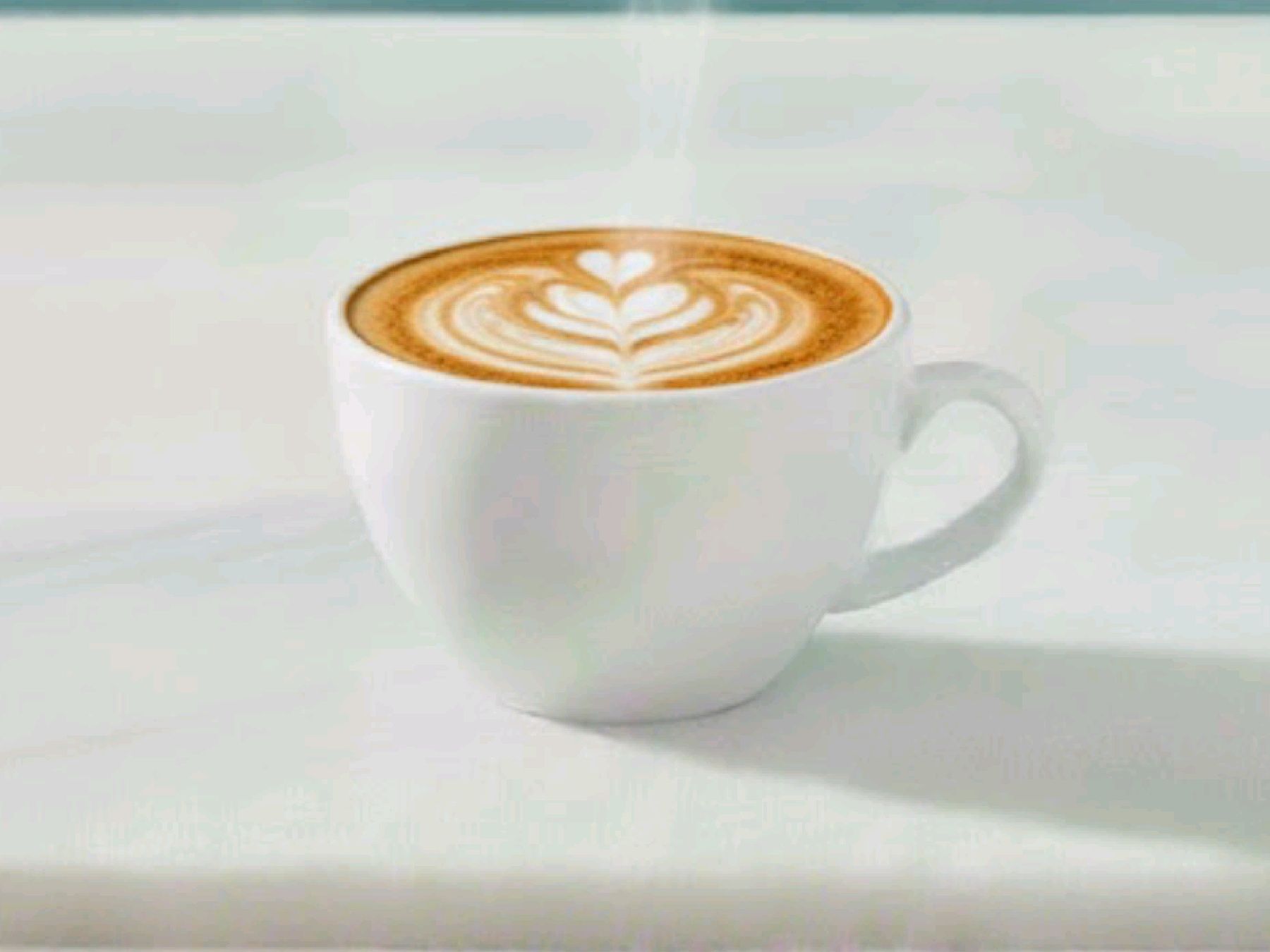 فلات وايت