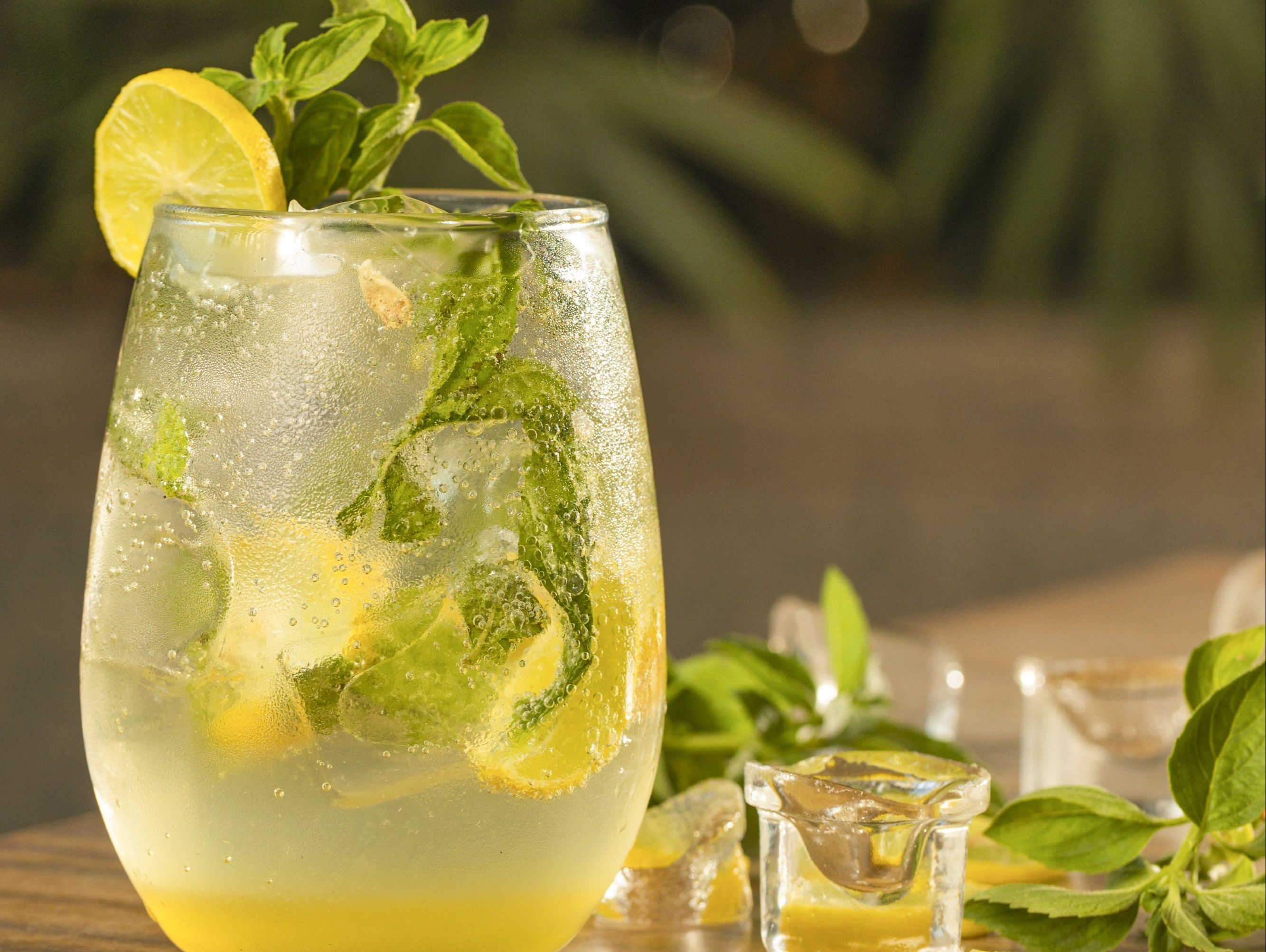 Thomas Mojito