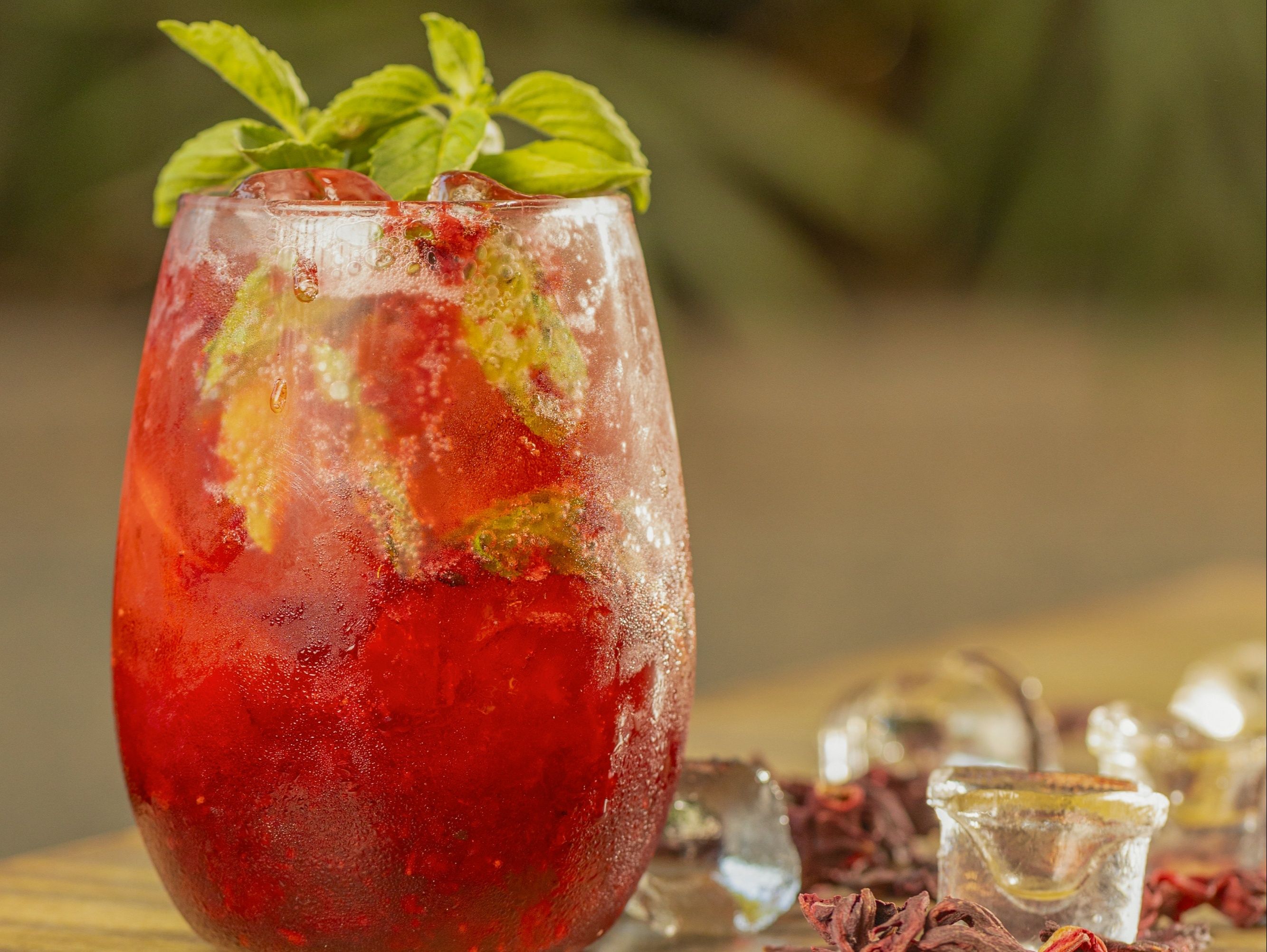 Hibiscus Spritzer