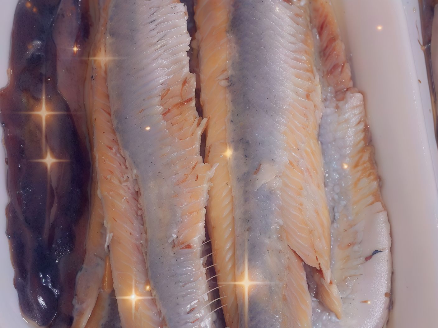 Herring Fillet