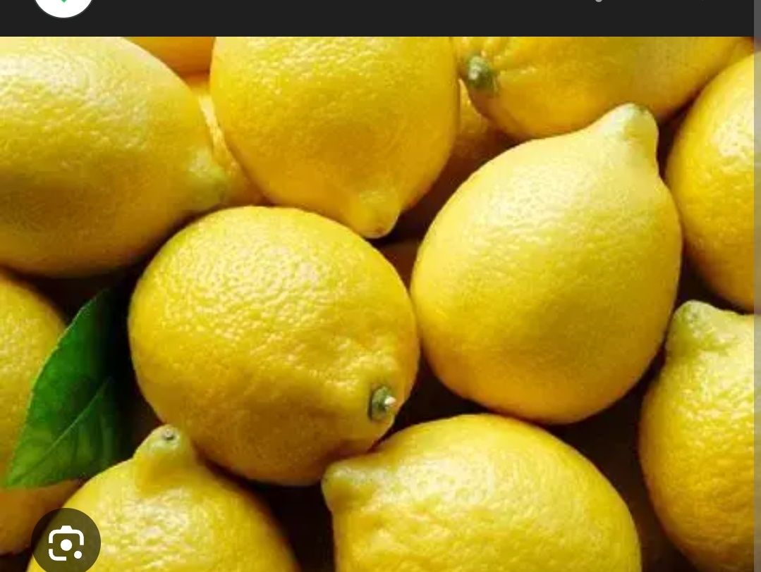 Lemon Smoothie