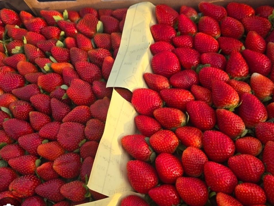 Fresh strawberry with milk
