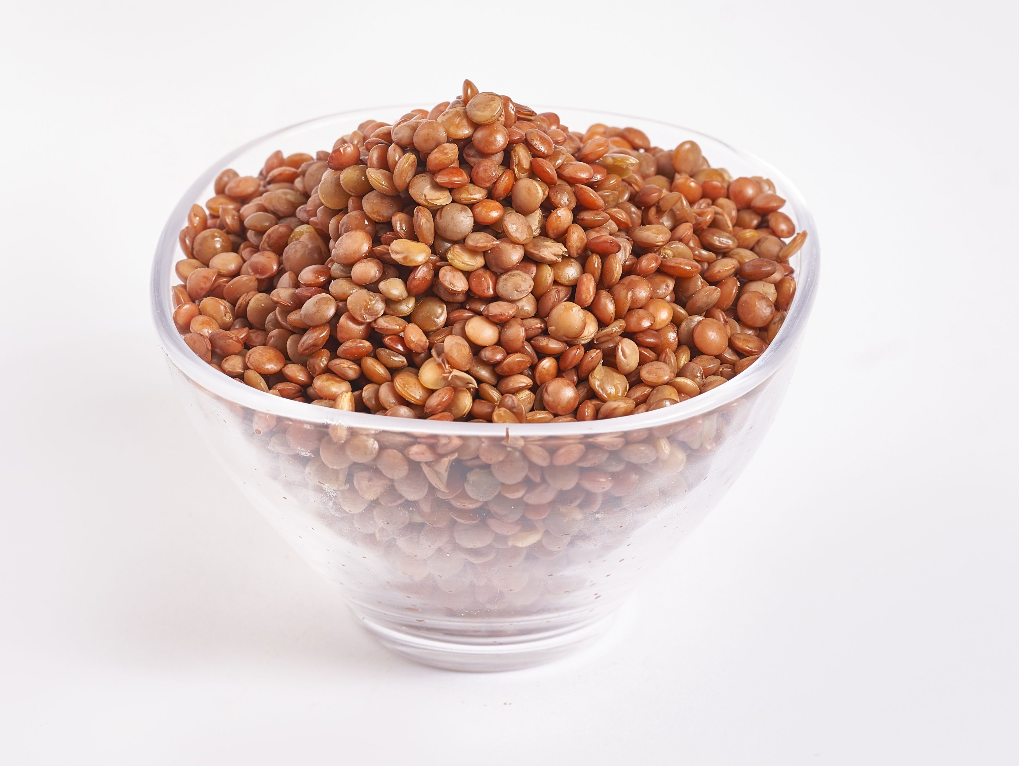Lentil