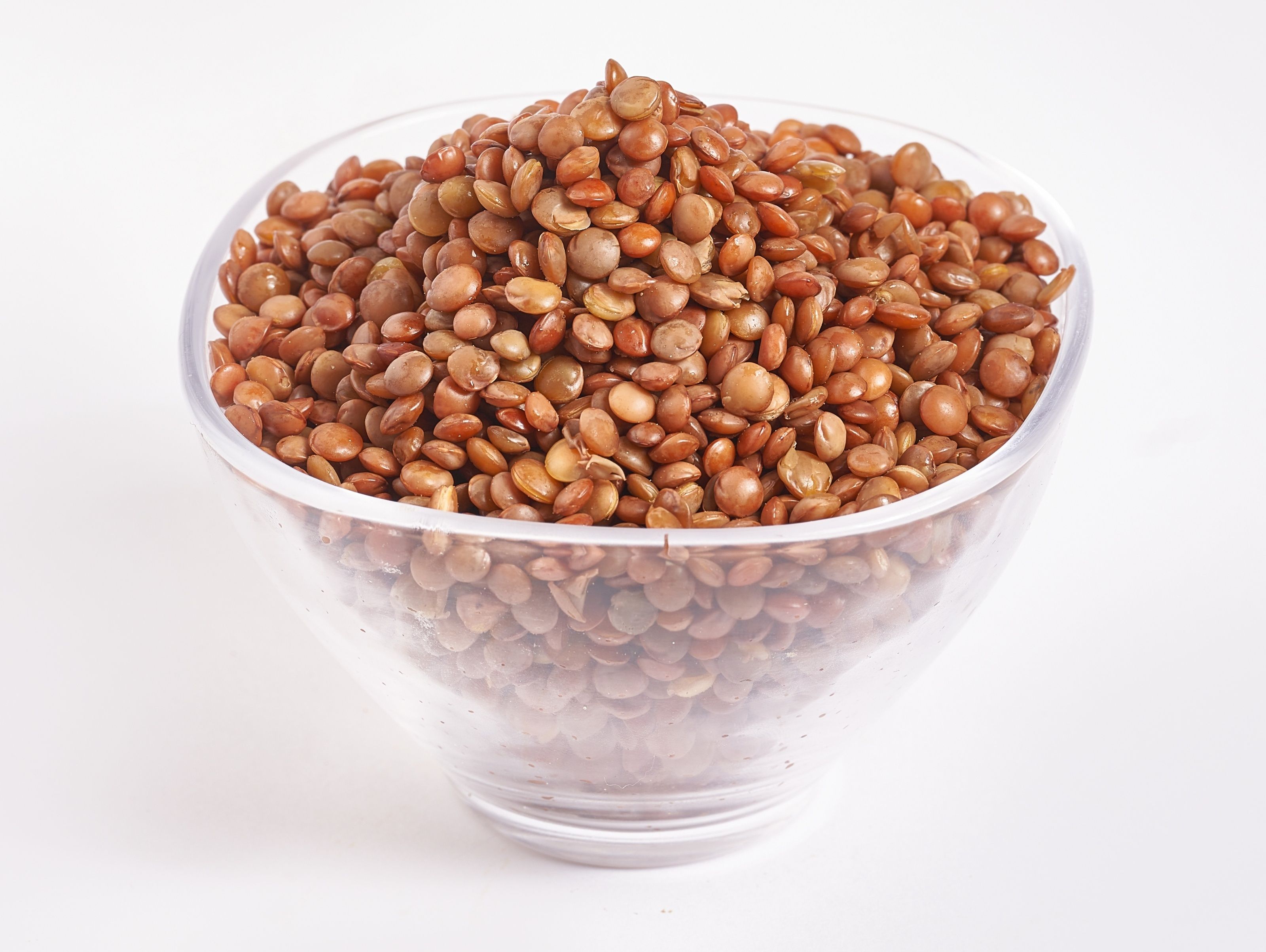 Large Lentils