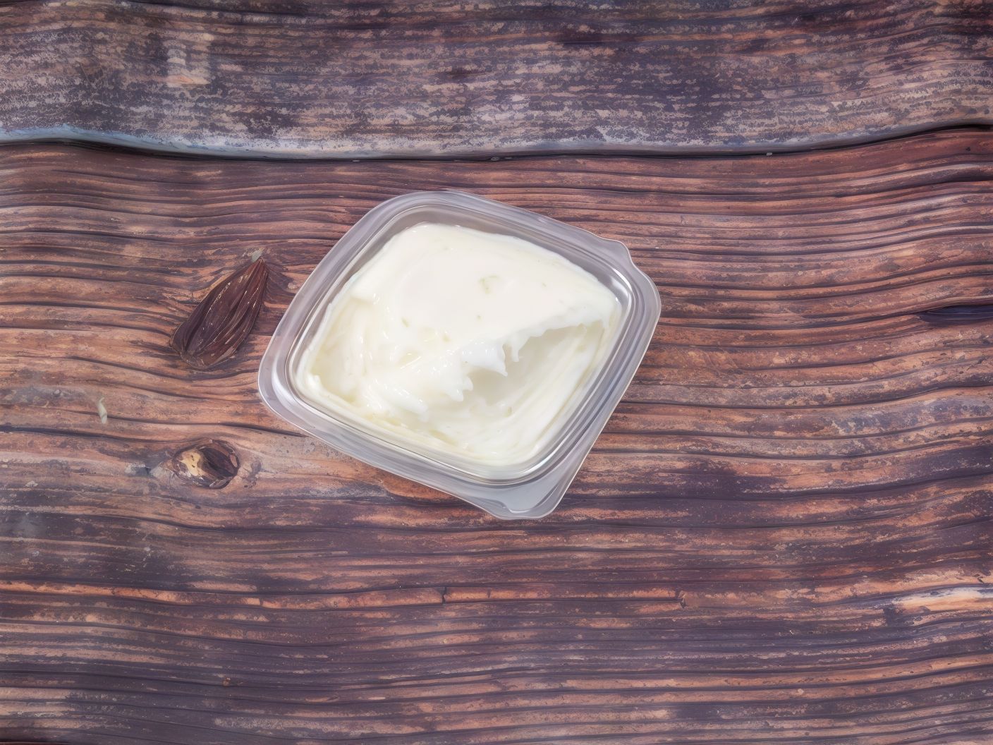Garlic Dip