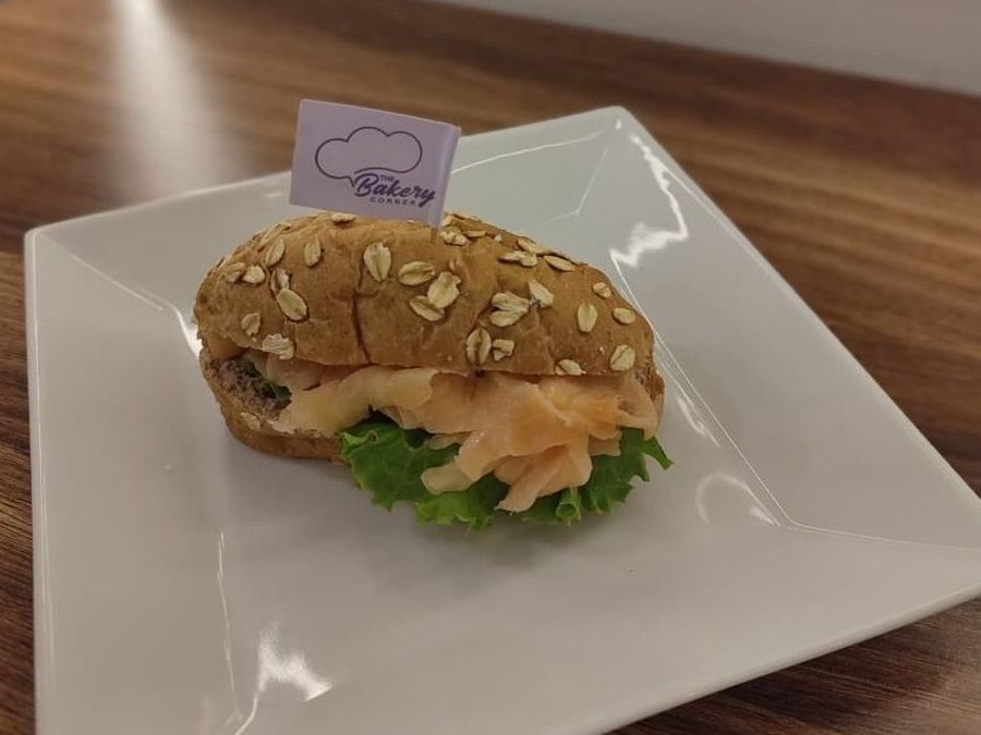 MINI PAiN Salmon