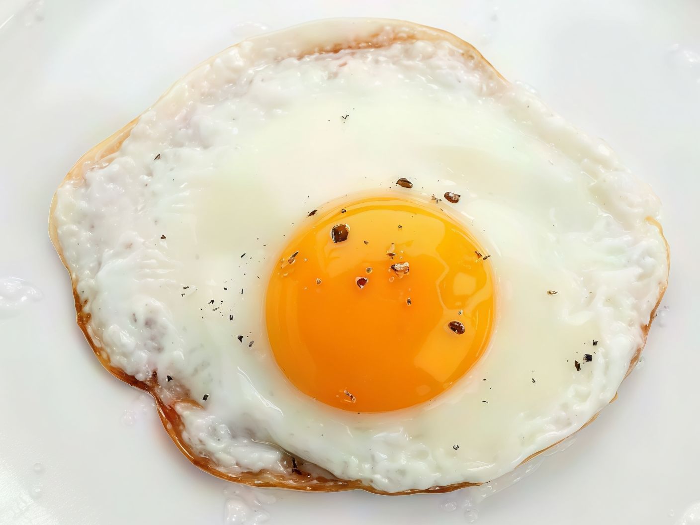 Medahrag Eggs
