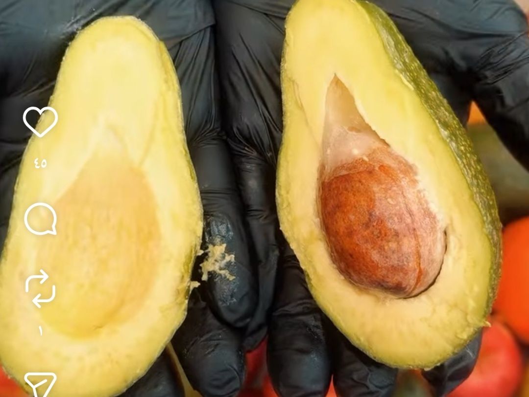 Fresh avocado with honey