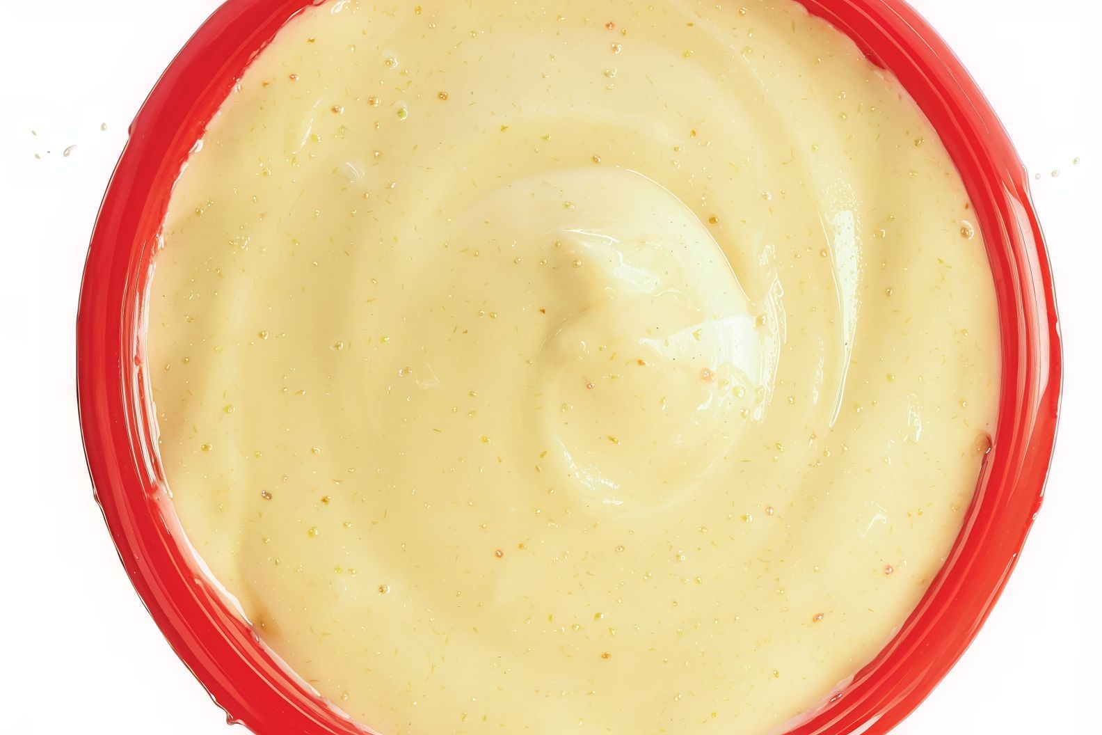 Garlic dip