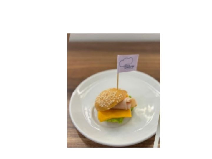 MINI KAISER REG