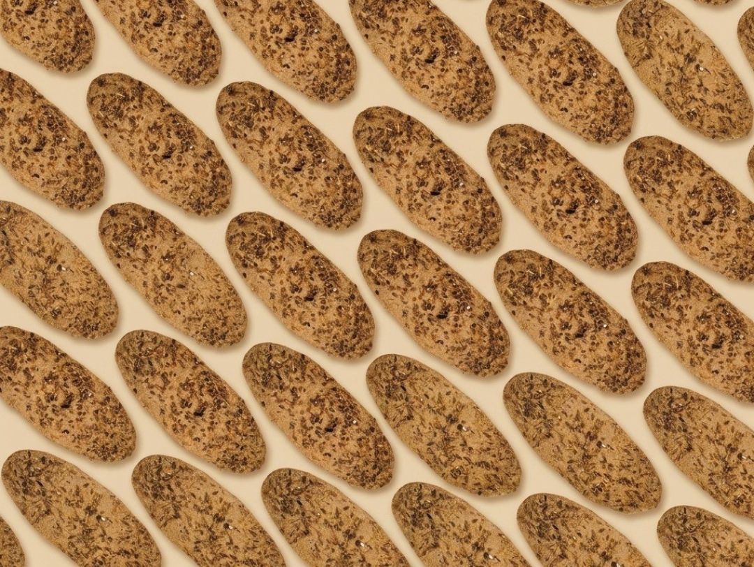 Fennel Crackers