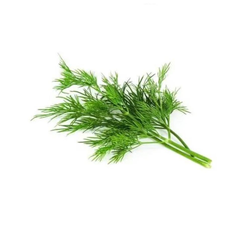 Fresh Dill Bunch