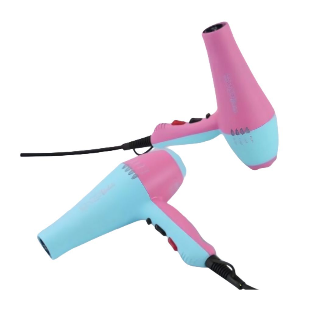 Enzo Hair Dryer En-8860A