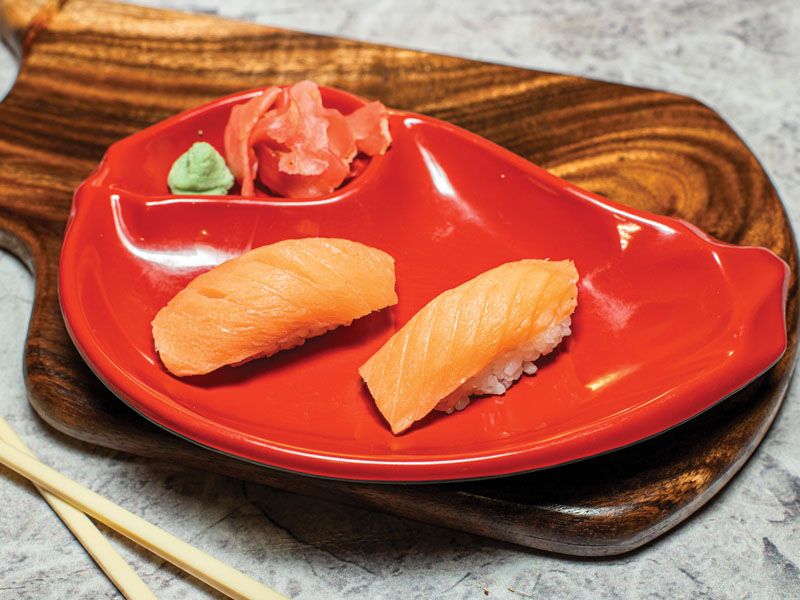 U02 - Salmon 2 Pieces