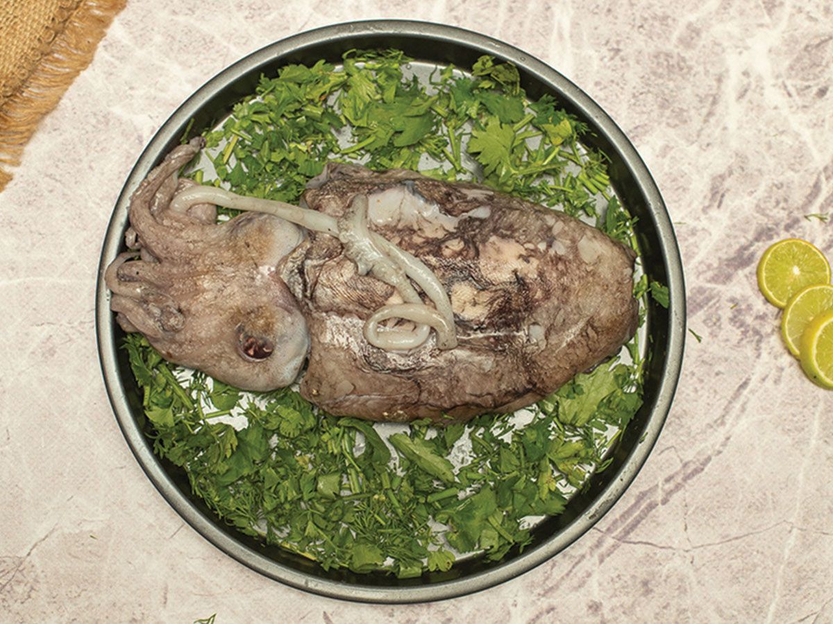 Baladi Squid