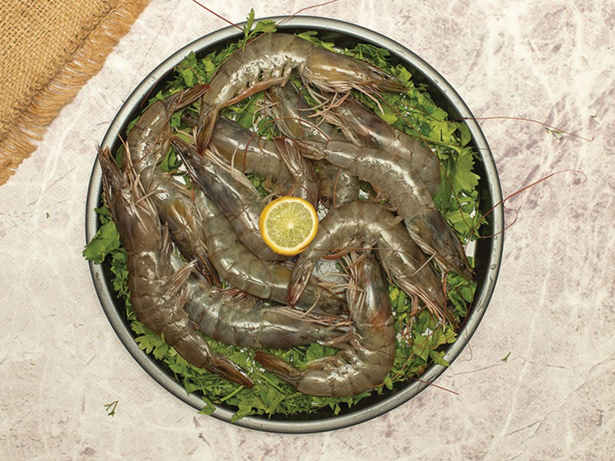 Jumbo Shrimp