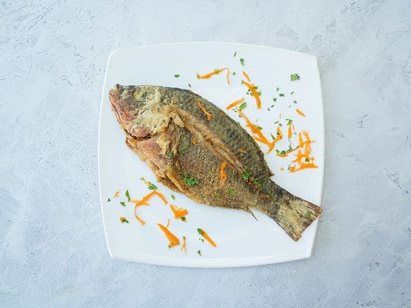 Tilapia Fish