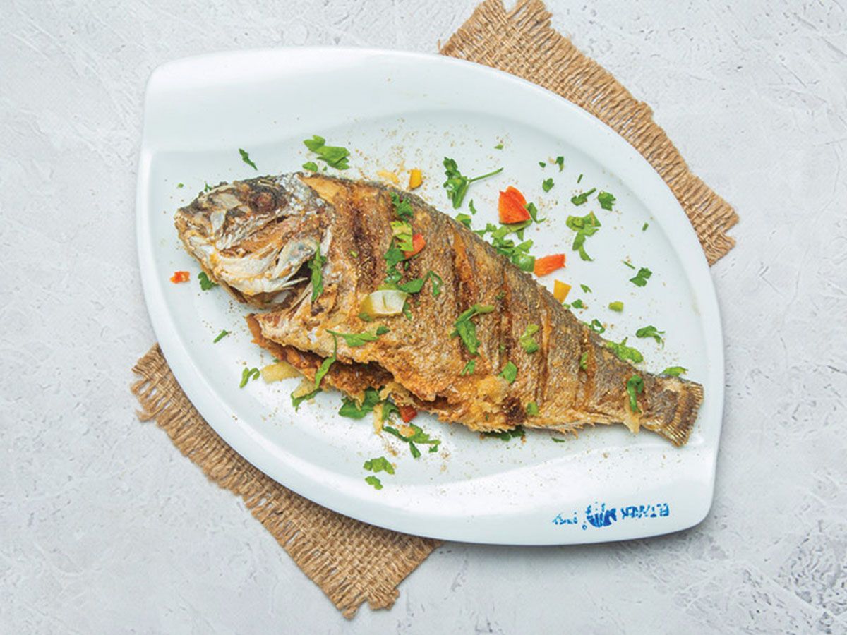 Sea Bream