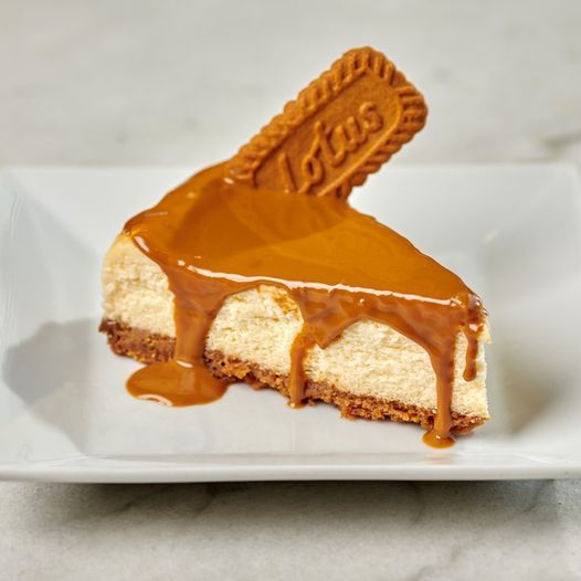 Cheese Cake Lotus