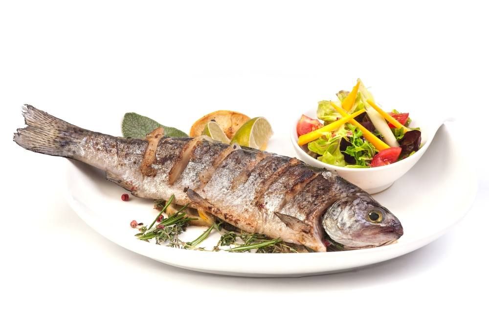 Grey Mullet Fish Meal