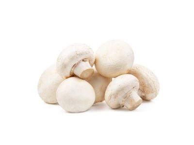 Fresh Mushroom