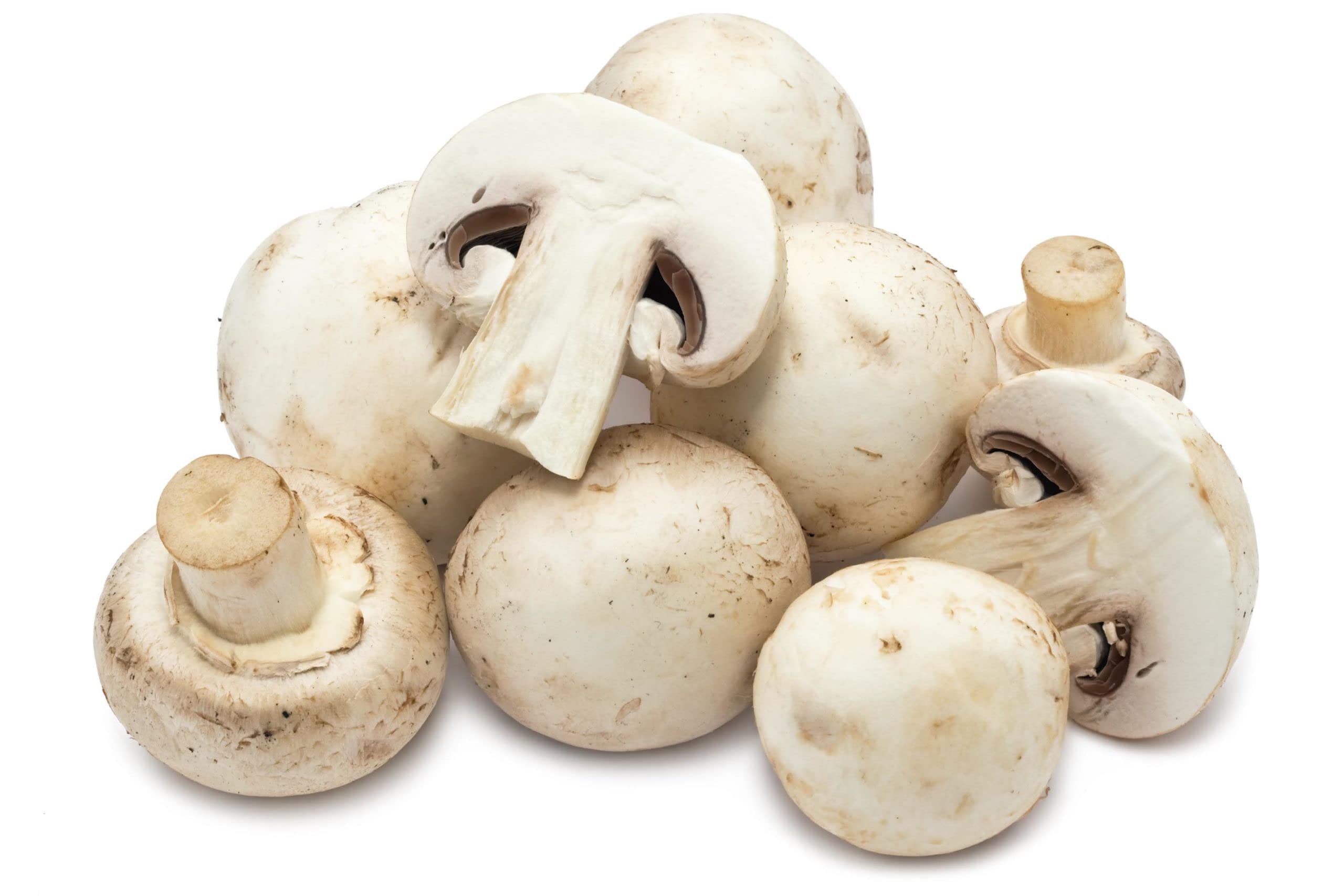 Extra Mushroom