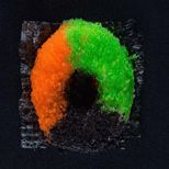 Rainbow Doughnut