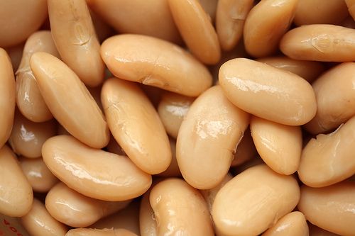 Plain Beans