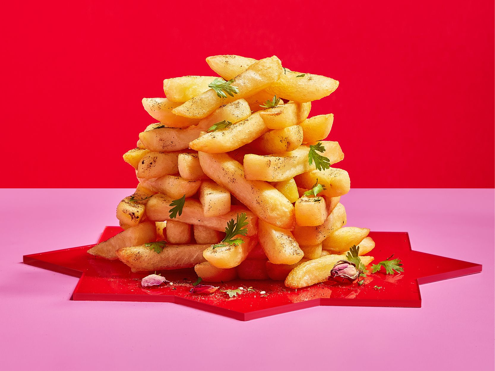 House fries