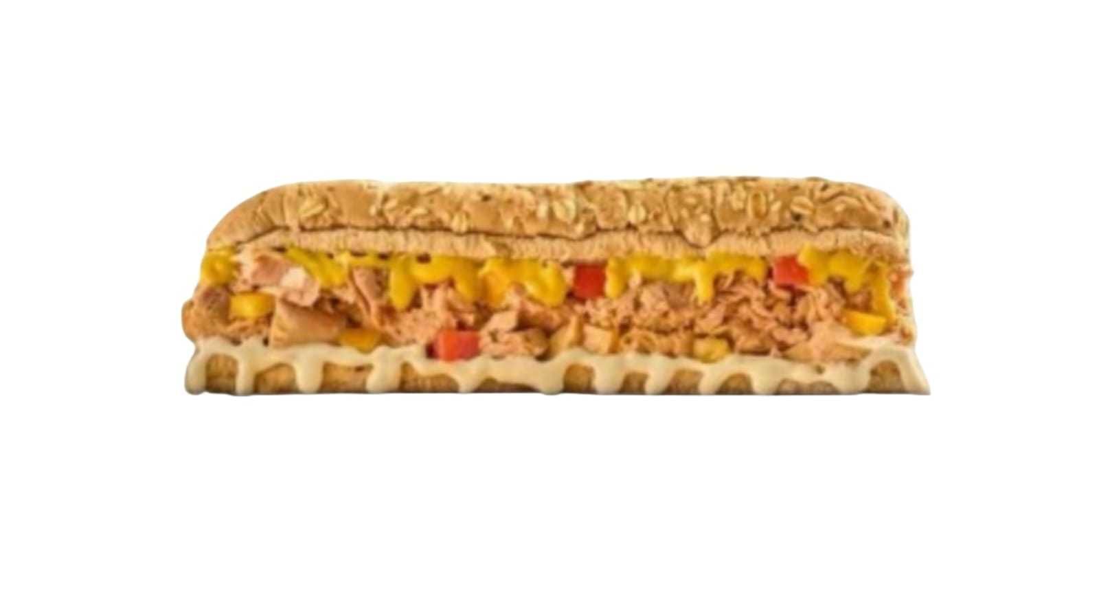Tuna Brown Baguette